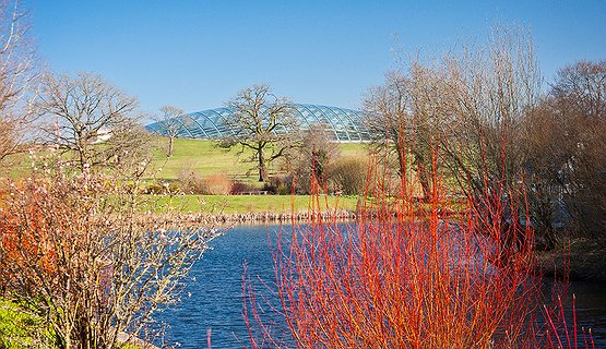National Botanic Garden of Wales and Aberglasney