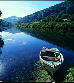 Get to Know WYE VALLEY